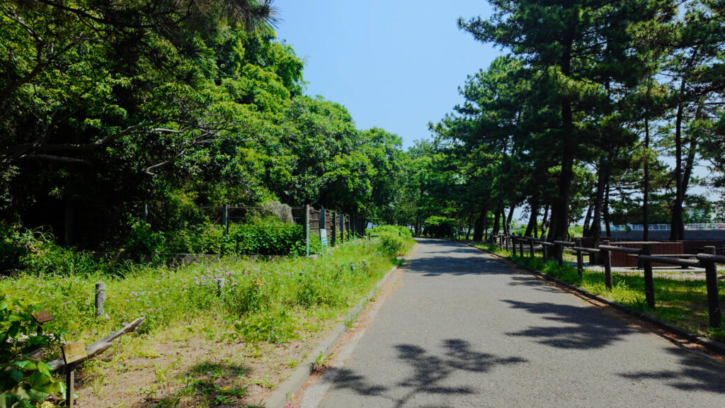 Path and pine trees in Nojima Park